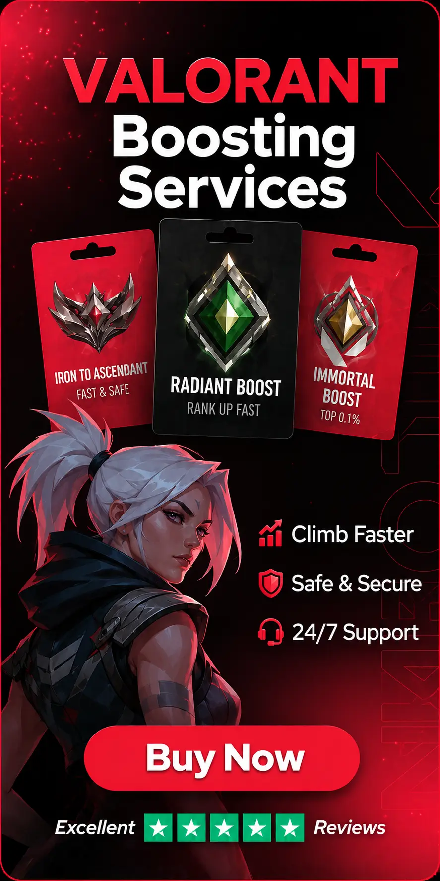 Promotional offer banner